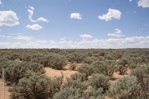 wide open space of desert land with nothing but sagebrush photo