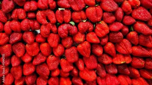 fraises et fruits