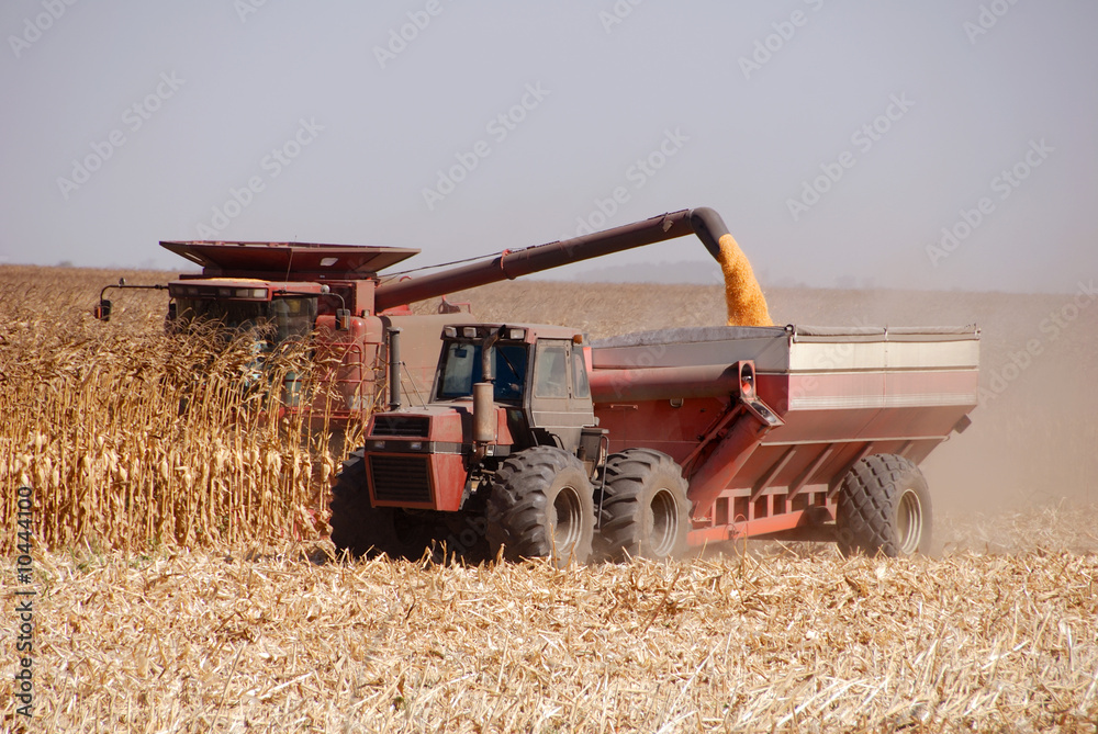 Naklejka premium Combine harvesting corn, San Joaquin Valley, California