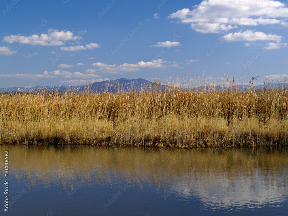 An autumn landscape with a tree at lake An autumn landscape with a tree at lake
