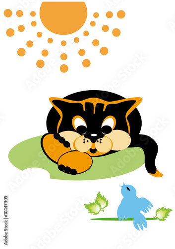 The cat listens to singing a bird