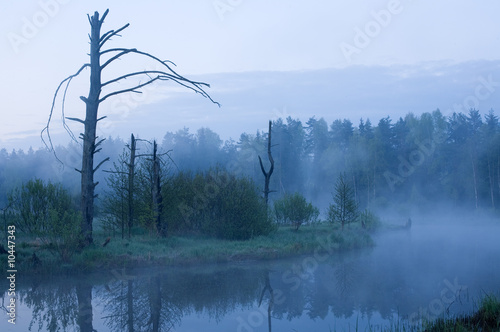 Early Morning. Fog under river