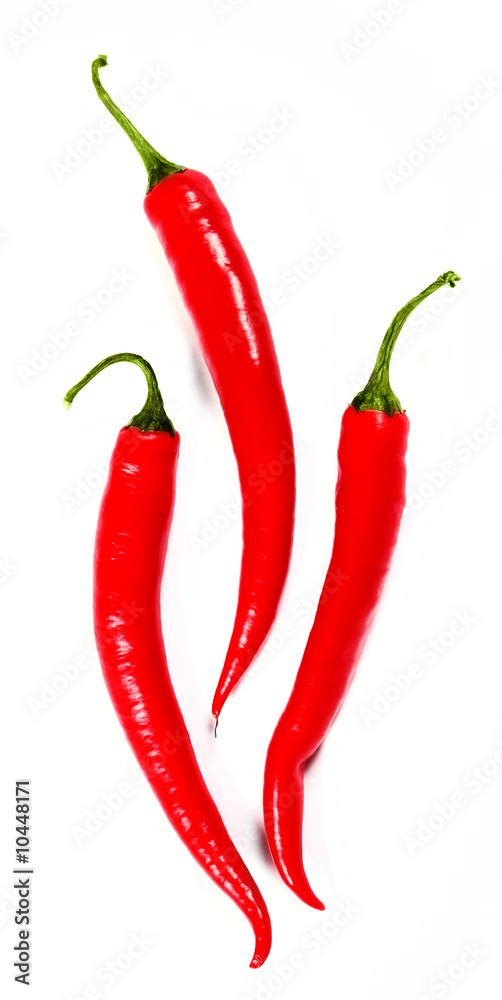 Fresh red hot chili pepper on white background..