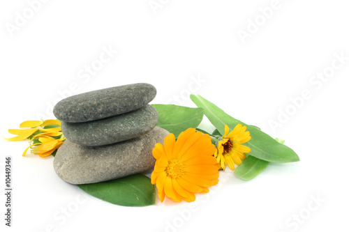 calendula with stones isolated on white