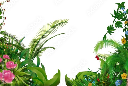 Tropical Plants 1 - hand drawn background illustration