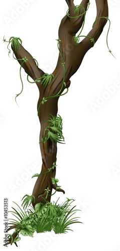 Tree A03 - isolated hand drawn tree with creepers plants Fototapet