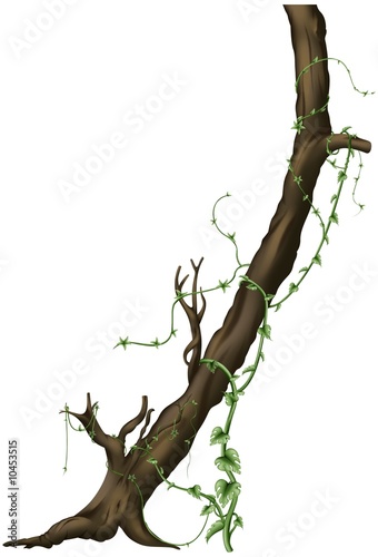 Tree A01 - isolated hand drawn tree with creepers plants