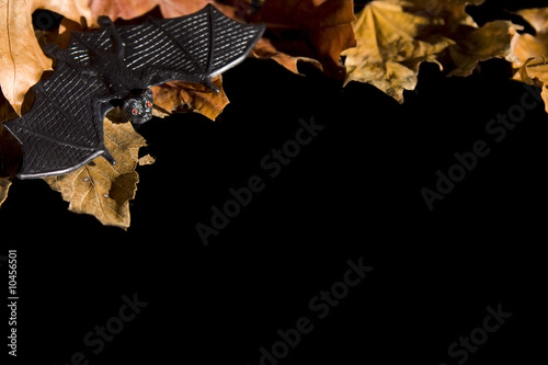 Pumpkins, autumnal leaves ad ghosts on a black photo