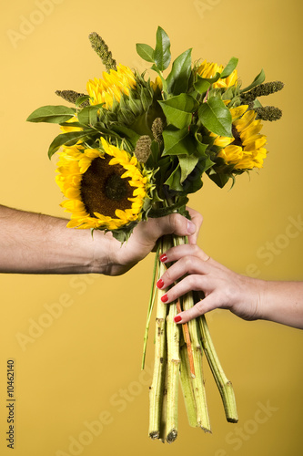 Hands Holding Sunflowers