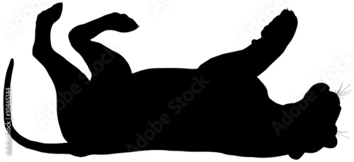 Foto Lioness102
