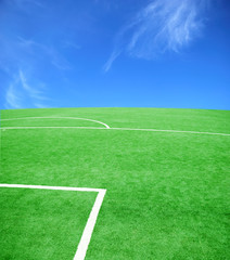 football grass background in light and shadow