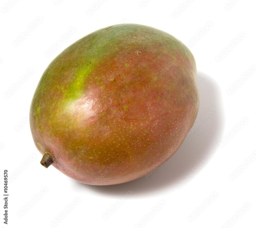single mango isolated on white background single mango isolated on white background