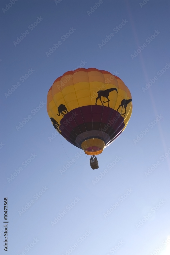 Naklejka premium A vertical image of a hot air balloon.