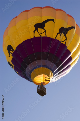 An image of a multicolored hot air balloon