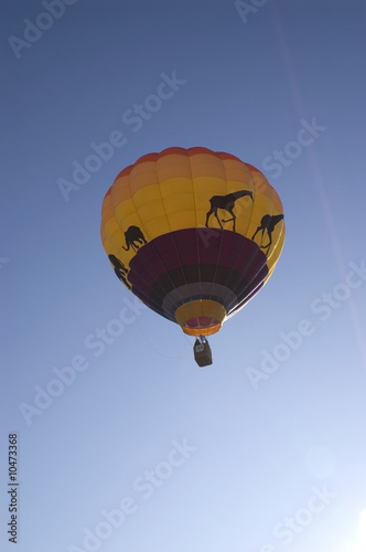 A vertical image of a hot air balloon.