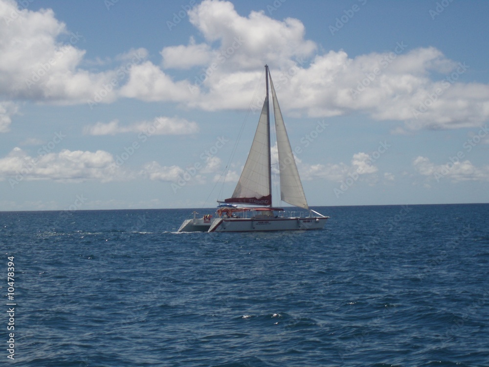 Grenada - Catamaran