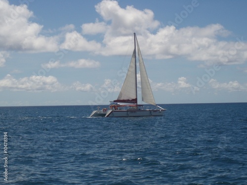 Grenada - Catamaran © Charles Chateau