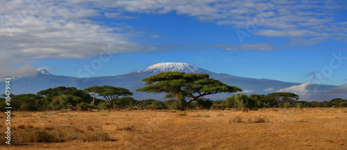 Kilimanjaro Wide #10479143