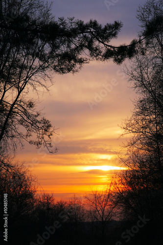 autumn landscape with droop sun