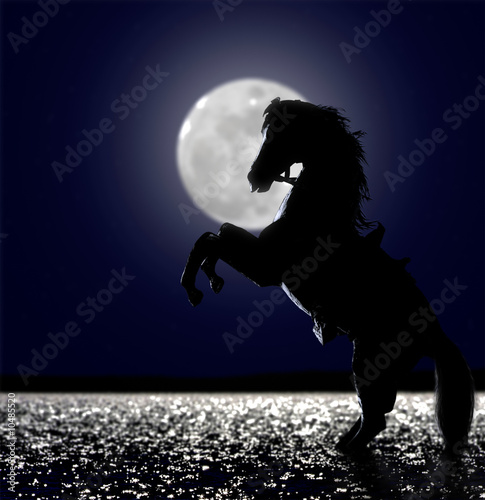The Horse in the moon light