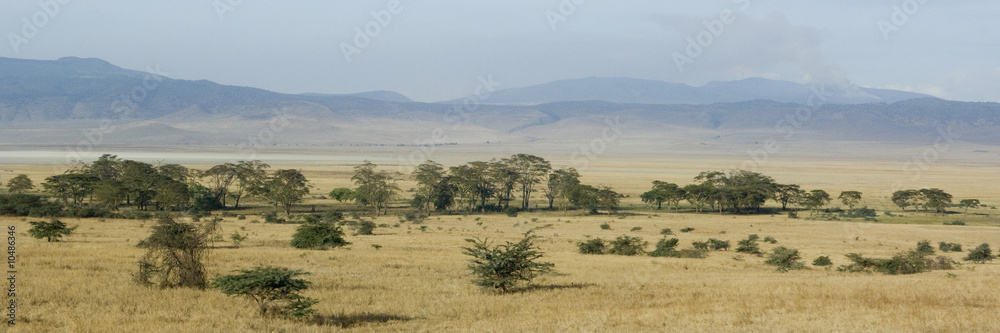 View of the view Ngorongoro Crater, tanzania View of the view Ngorongoro Crater, tanzania