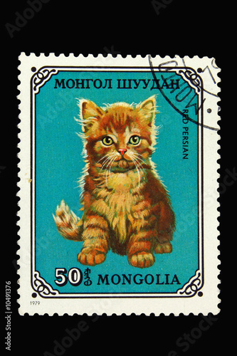 Mongolian postage stamp with red persian cat