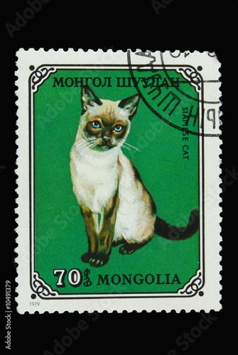 Mongolian postage stamp with Siamese cat