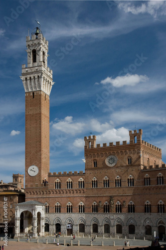The Torre del Mangia, Sienna