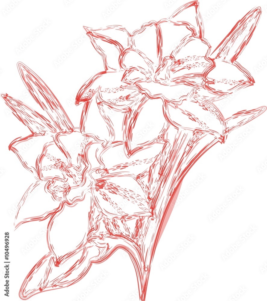 Fototapeta premium blumen aquarell rot