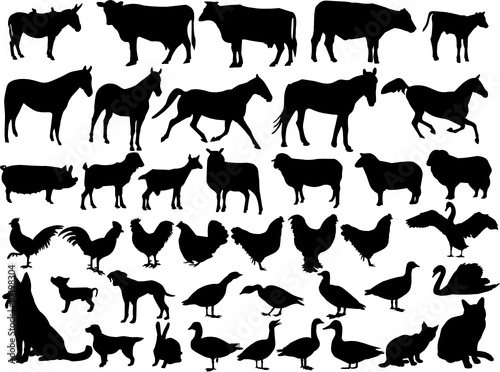 farm animal silhouette colection - vector
