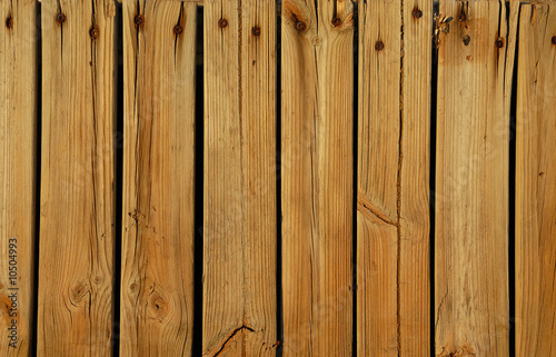 Bild auf Leinwand palissade