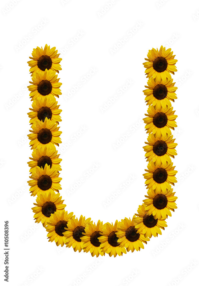 Obraz premium letter u