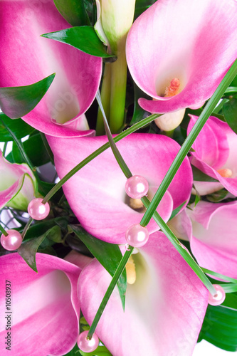 Bouquet of three purple Caliliy