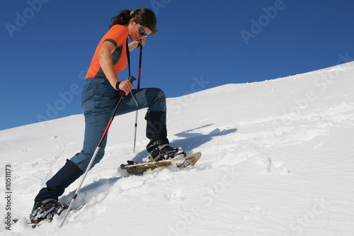 Snowshoe trip photo