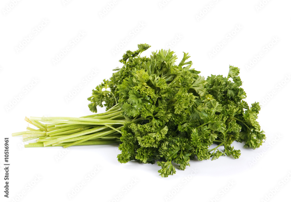 green parsley isolated on white background green parsley isolated on white background