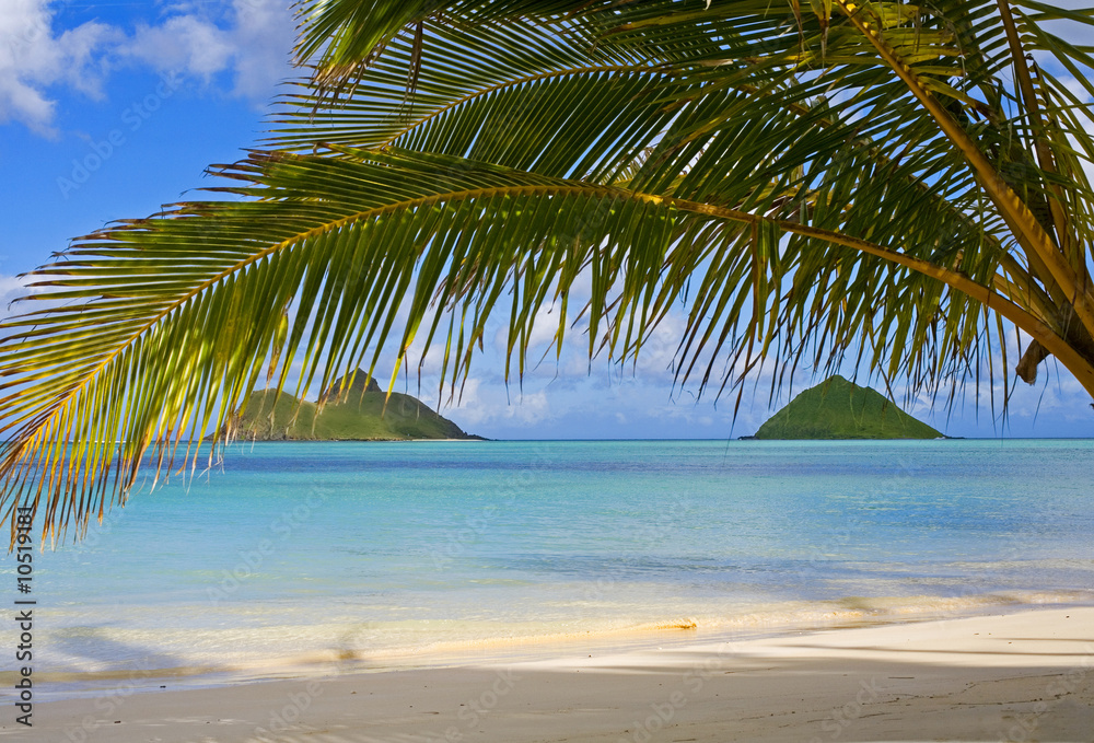 Fototapeta premium the mokulua islands off lanikai beach, oahu, hawaii