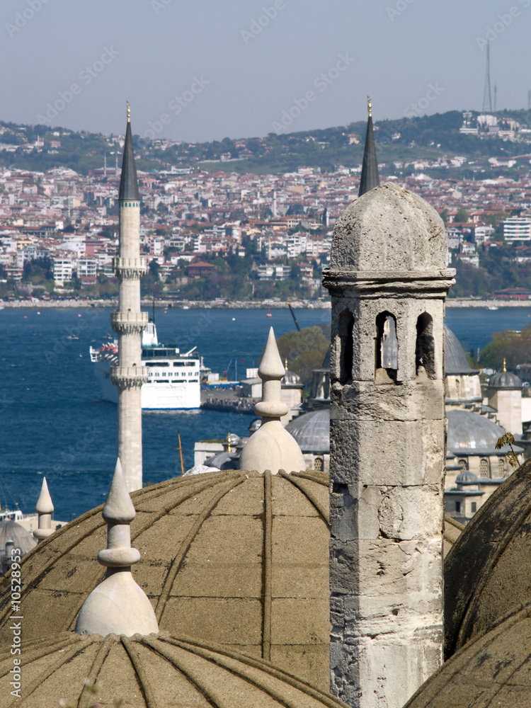 Naklejka premium Dome from the Suleymaniye Mosque - Istanbul - Turkey