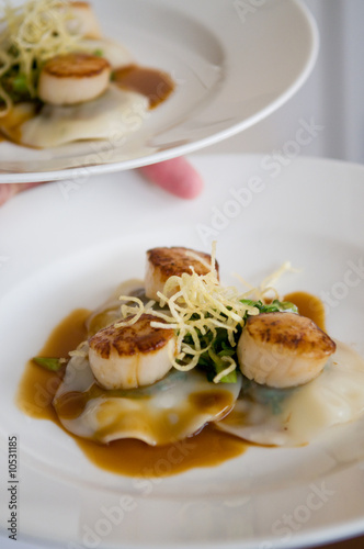 Gourmet scallops and ravioli with sauce on a white dish