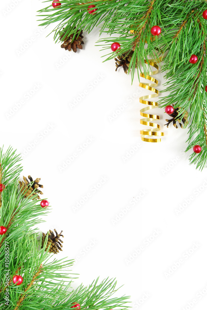 Christmas branch with red balls and cones in the corner