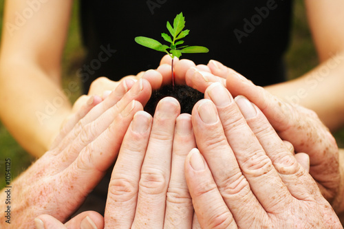 Wachstum mit Teamwork