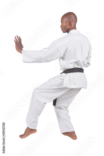 african american man in karate suit
