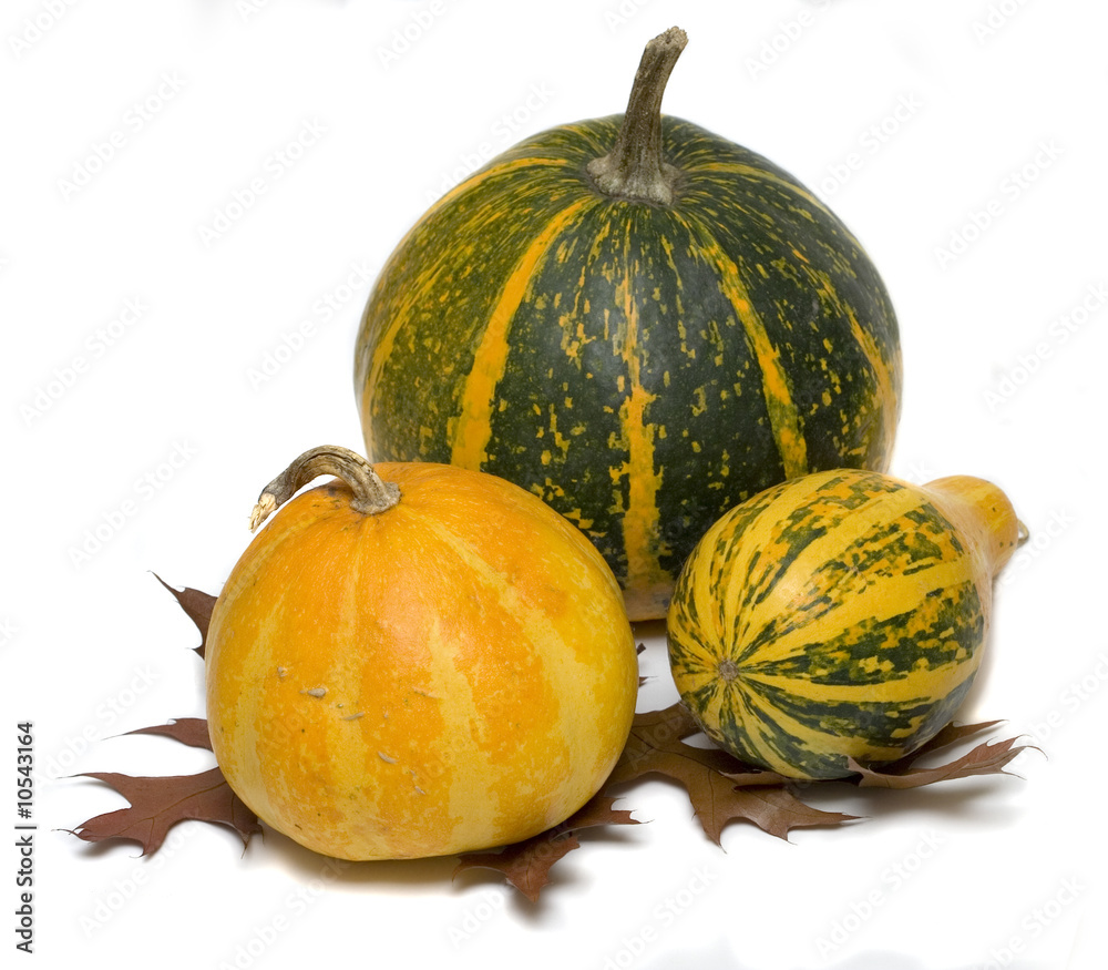 Three pumpkin on halloween