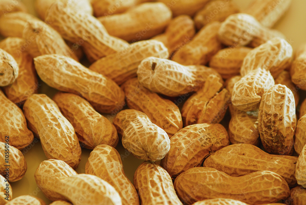 Fototapeta premium background of peanuts.