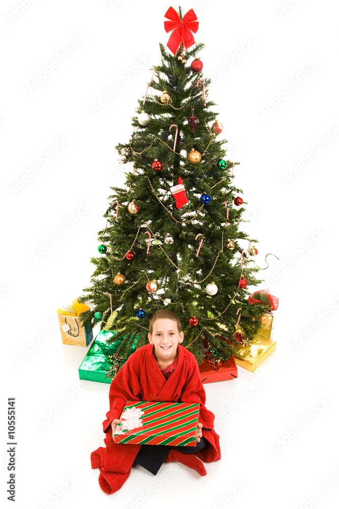 Adorable little boy sitting under the Christmas tree. Isolated Adorable little boy sitting under the Christmas tree. Isolated