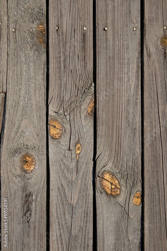 grunge old wooden texture with bitchs and hats of nails