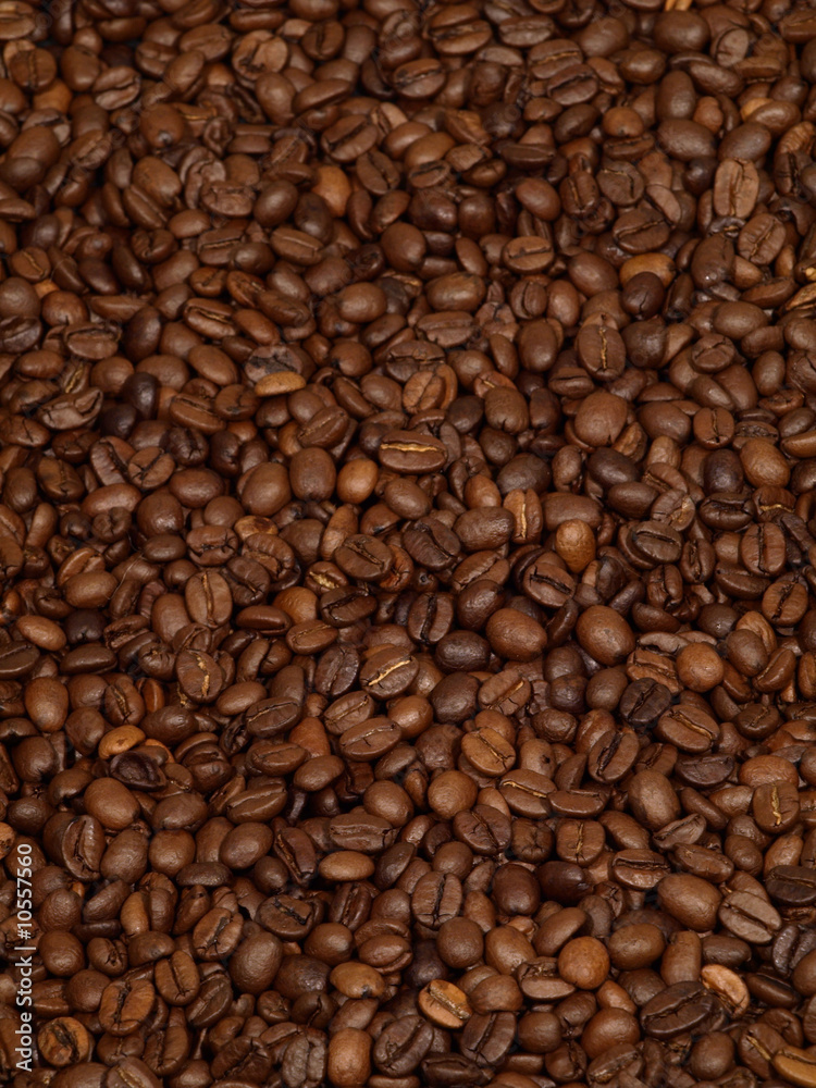 café5 café5