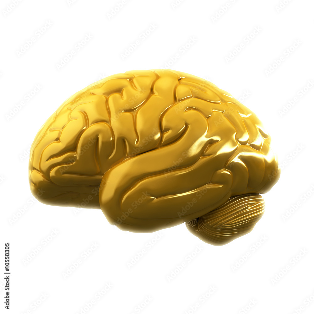 Brain Gold 03 lat Brain Gold 03 lat