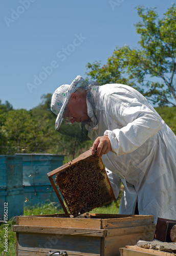 Beekeeper 39