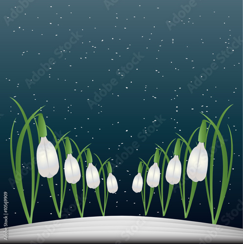 Snowdrop Background