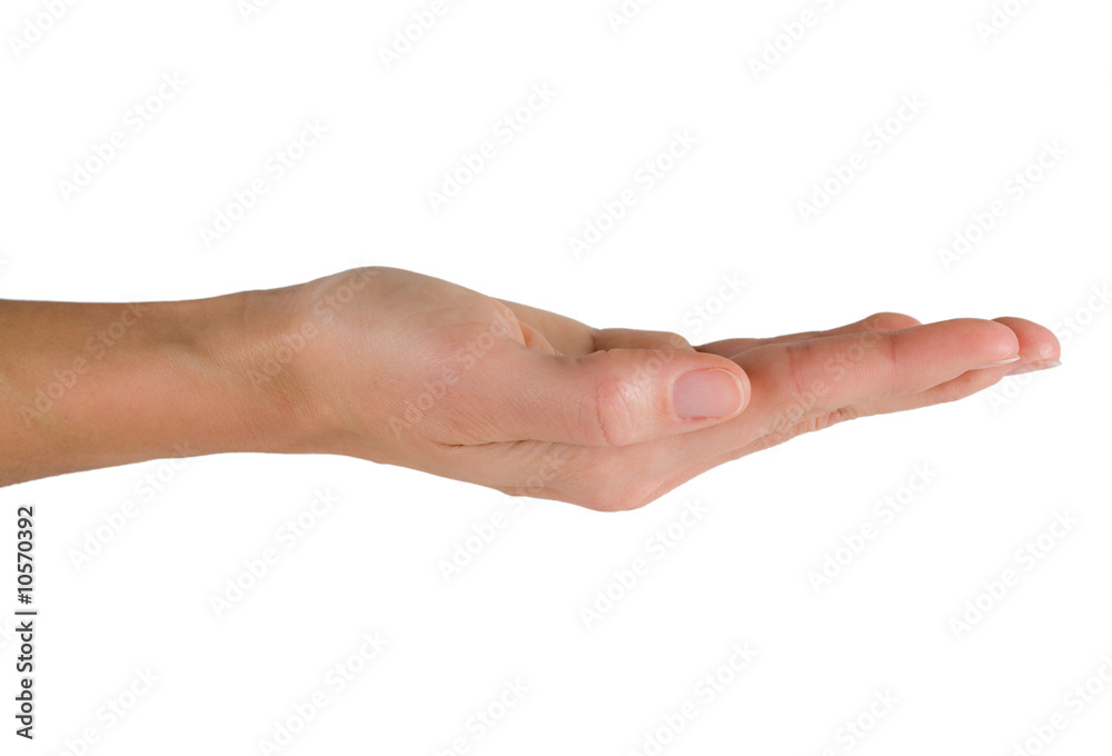 Main de femme Main de femme